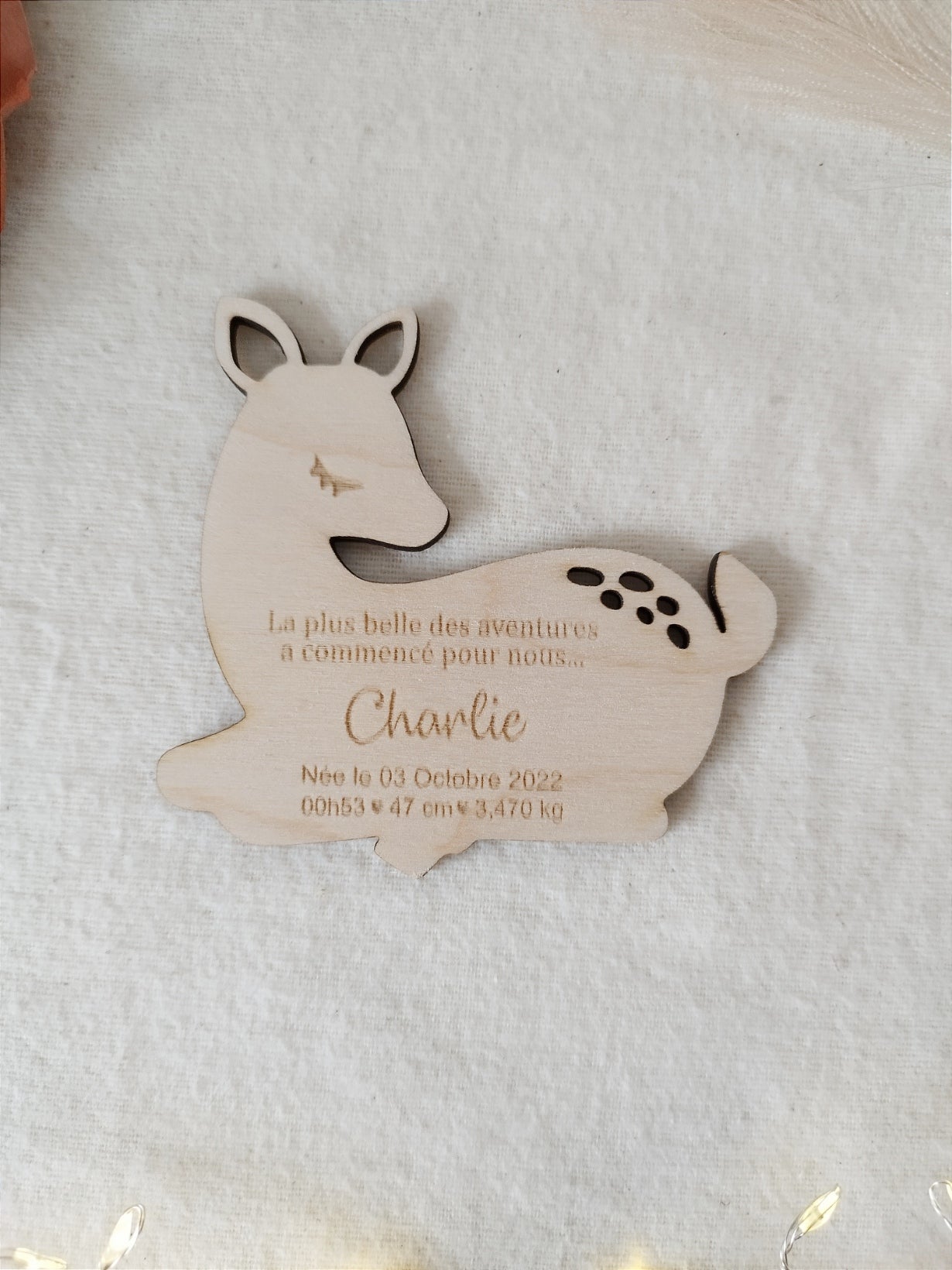 Faire part de naissance